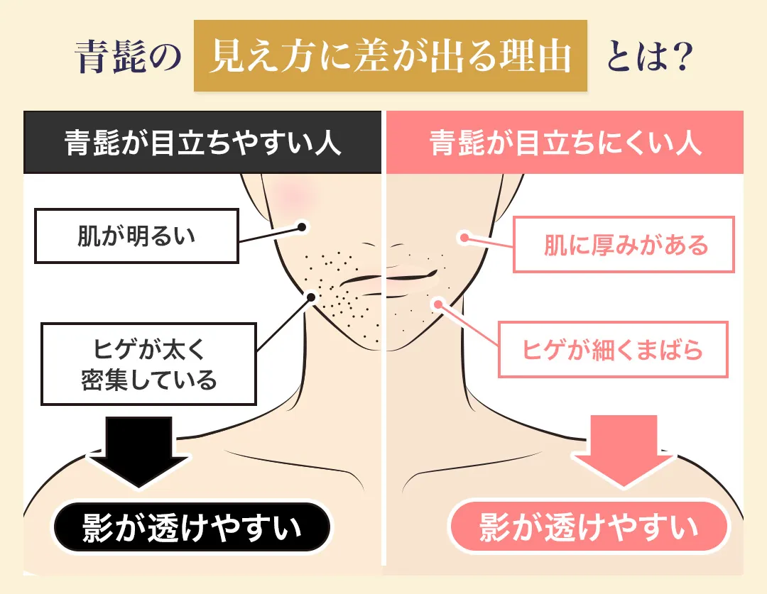 青髭になる人とならない人の違いを解説した画像