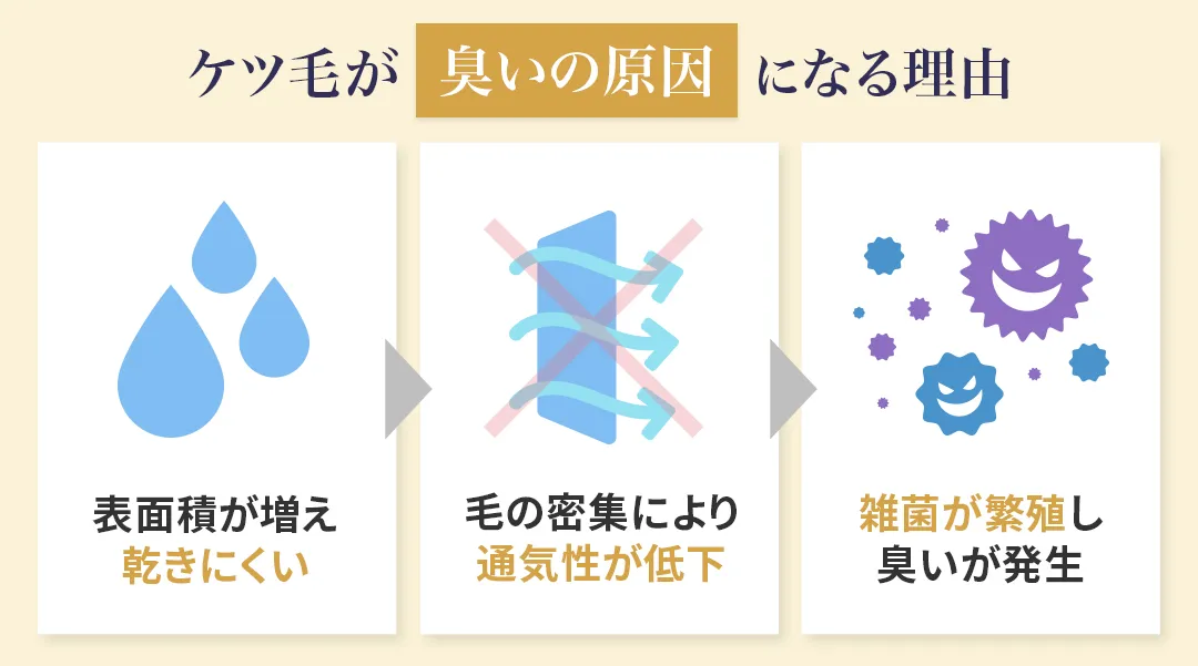 ケツ毛が蒸れや臭いの原因になる理由