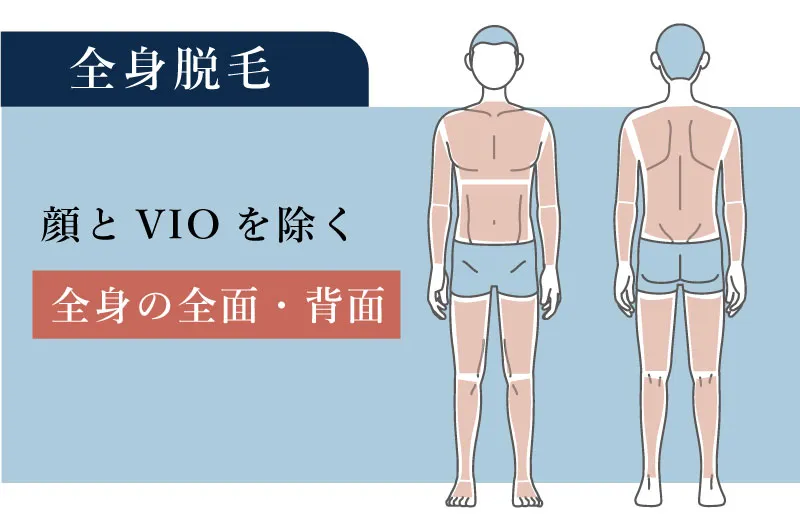 メンズの全身脱毛に含まれる範囲