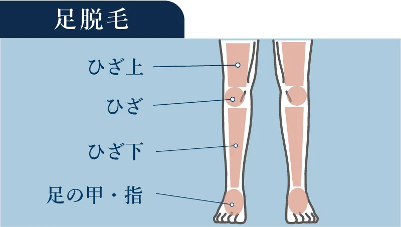 メンズの足脱毛に含まれる範囲